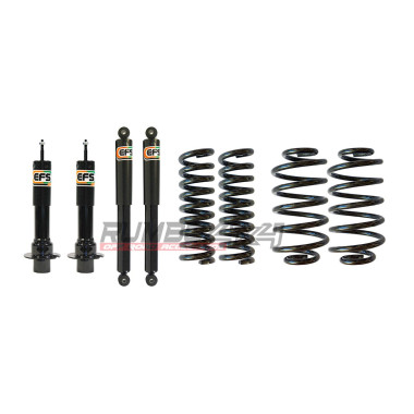 KIT EFS ELITE HD + 4CMS. KJ