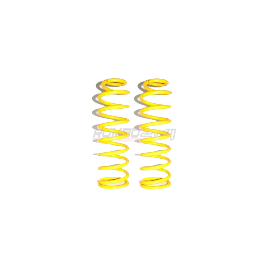 KIT 2 MUELLES TRASEROS +3CMS. KING SPRING